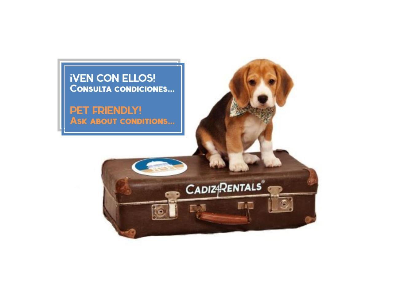 La Herencia Del Regidor By Cadiz4Rentals Eksteriør billede